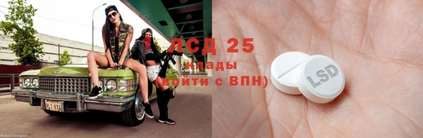 ГАЛЛЮЦИНОГЕННЫЕ ГРИБЫ Заволжье