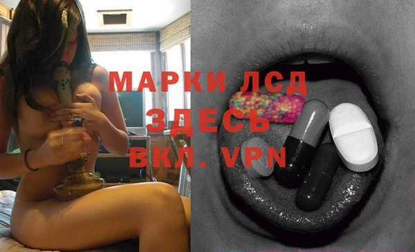 ГАЛЛЮЦИНОГЕННЫЕ ГРИБЫ Заволжье