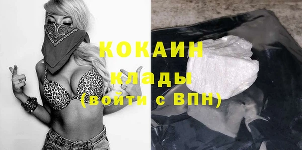 ГАЛЛЮЦИНОГЕННЫЕ ГРИБЫ Заволжье