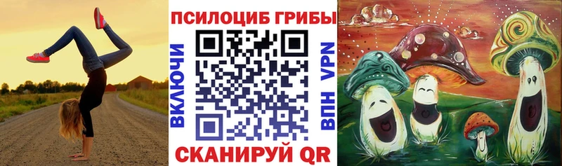 наркотики  площадка как зайти  Псилоцибиновые грибы Cubensis  Артём 